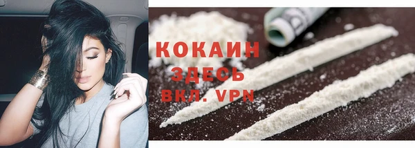 ПСИЛОЦИБИНОВЫЕ ГРИБЫ Навашино