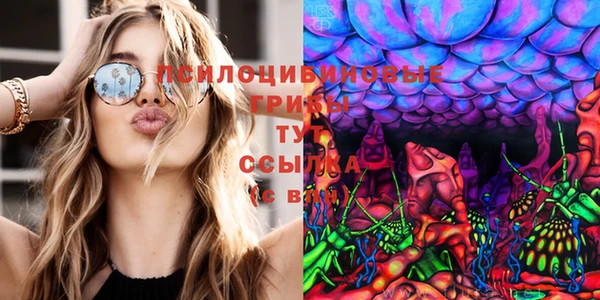 винт Нея