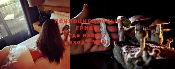 трава Белая Холуница