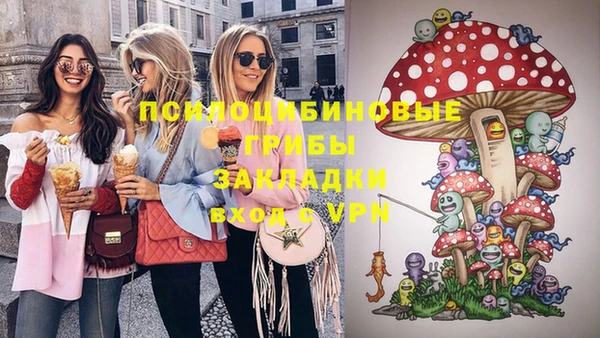ПСИЛОЦИБИНОВЫЕ ГРИБЫ Навашино