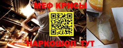 стаф Кингисепп