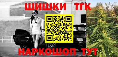 стаф Кингисепп