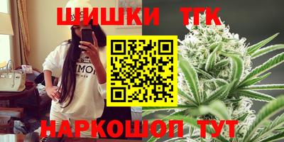 стаф Кингисепп