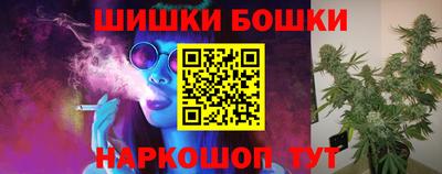 стаф Кингисепп