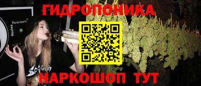 стафф Волжск