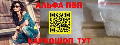 стаф Кингисепп
