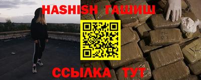 стаф Кингисепп