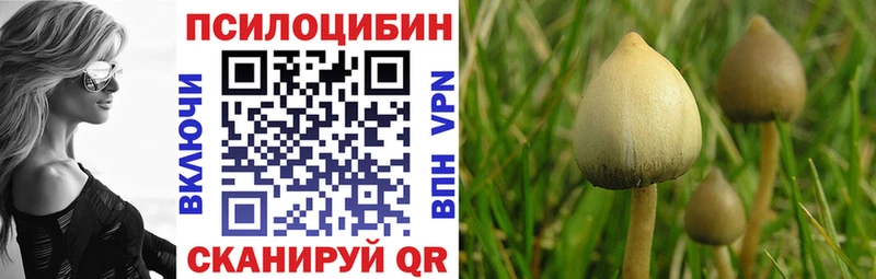 купить цена Нарьян-Мар Галлюциногенные грибы Cubensis