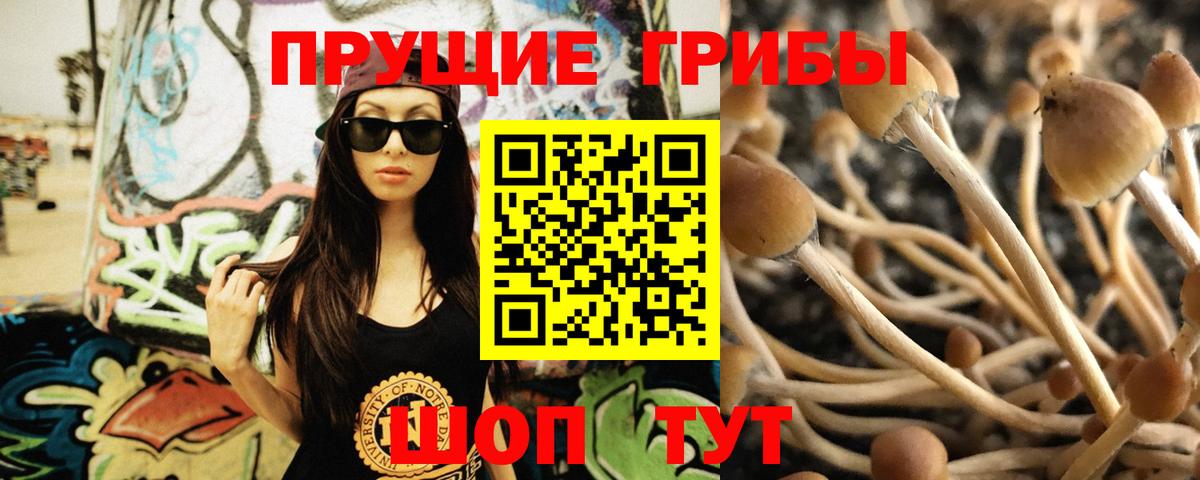 Галлюциногенные грибы прущие грибы Нарьян-Мар