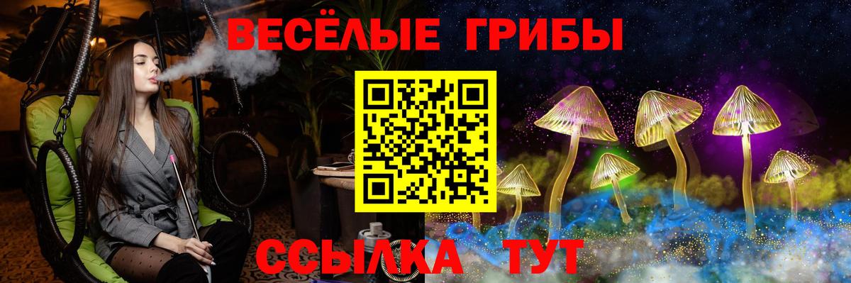 сколько стоит  Нарьян-Мар  Псилоцибиновые грибы ЛСД 