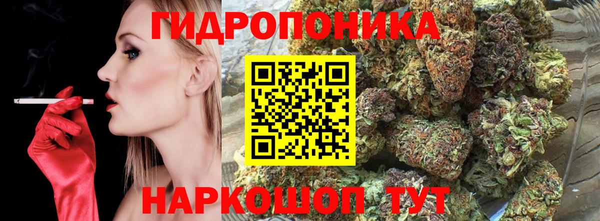 Канабис планчик Нарьян-Мар